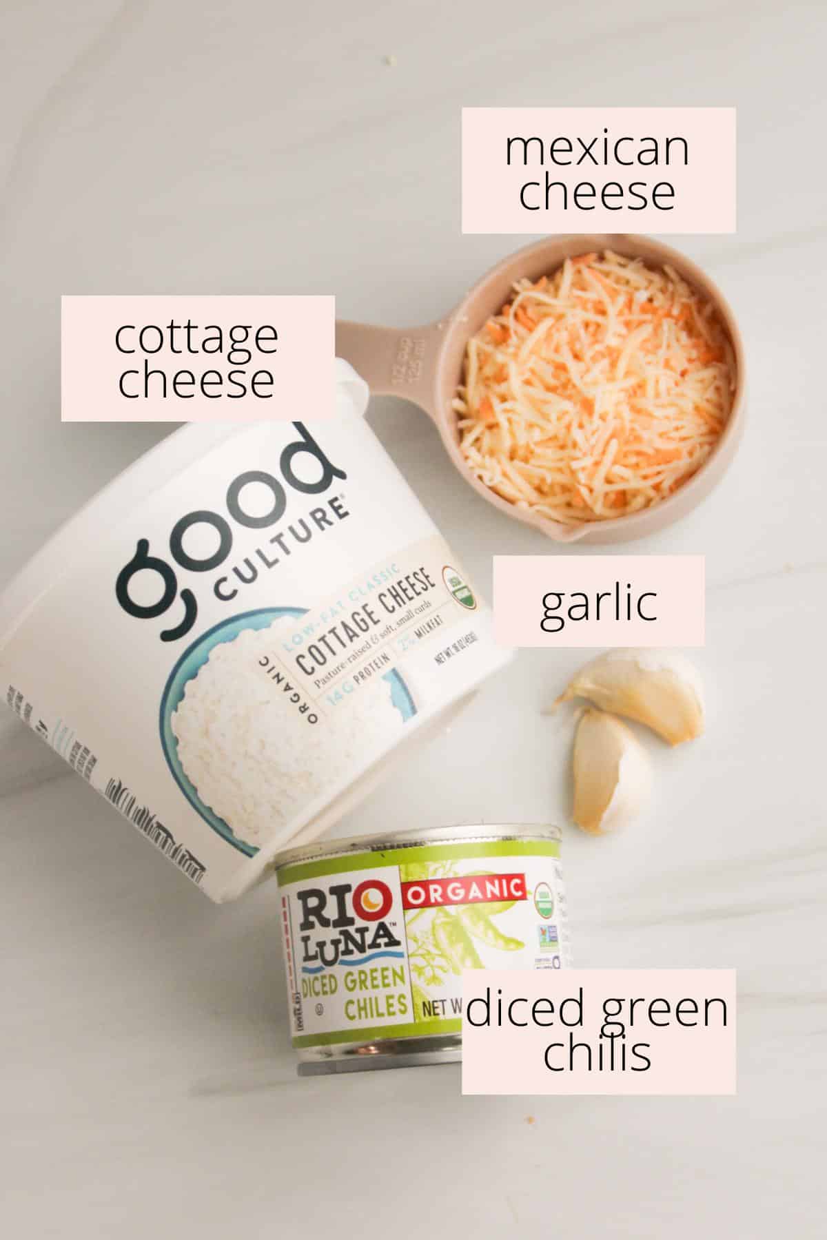 Easy Cottage Cheese Queso Dip (High Protein!) The Balanced Nutritionist