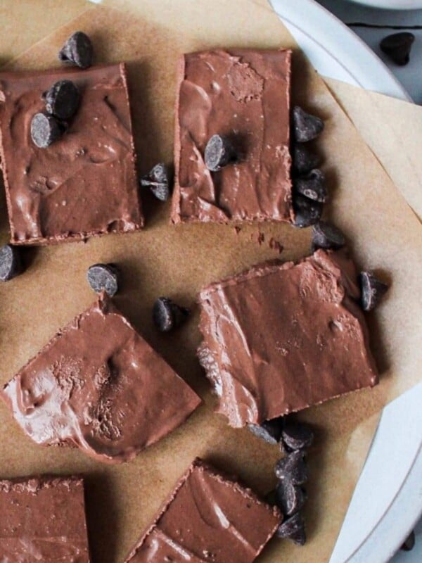 A close up shot of cottage cheese fudge with sprinkled chocolate chips.
