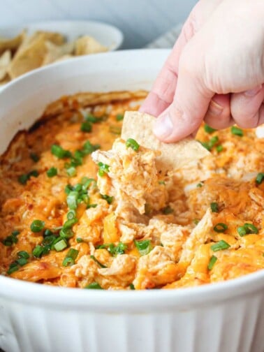 A close up shot of a chip being dipped into high protein buffalo chicken dip.