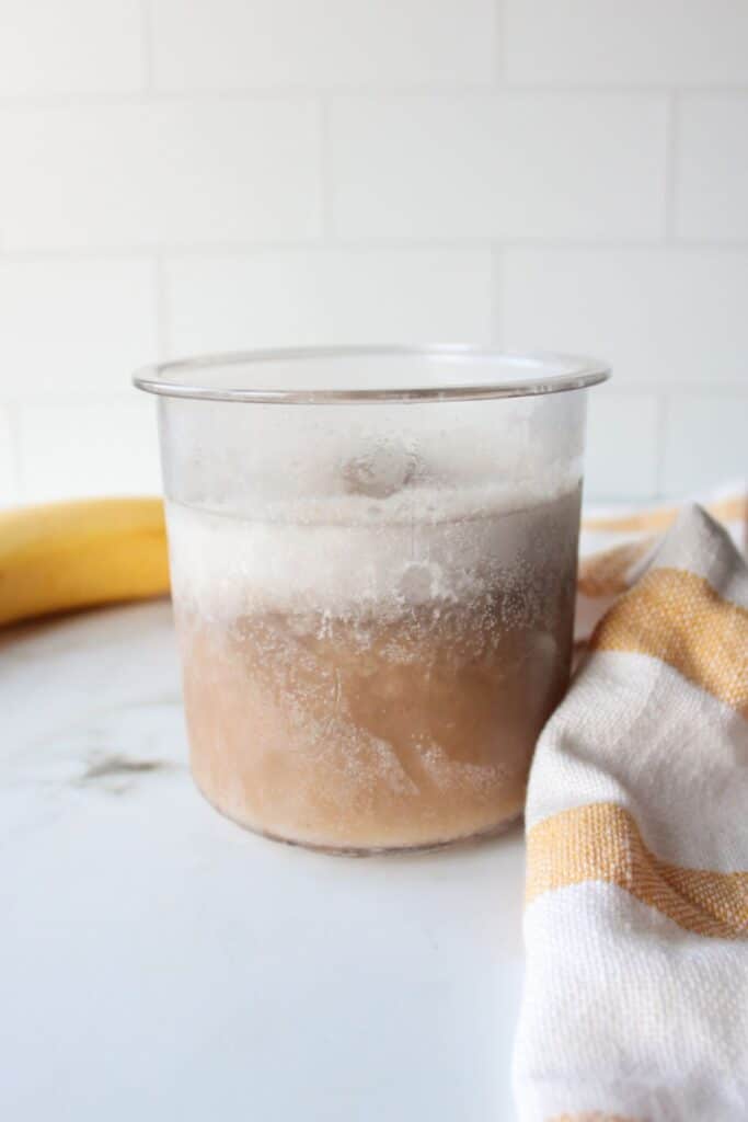 Ninja creami banana ice cream blended ingredients frozen in a container before mixing.