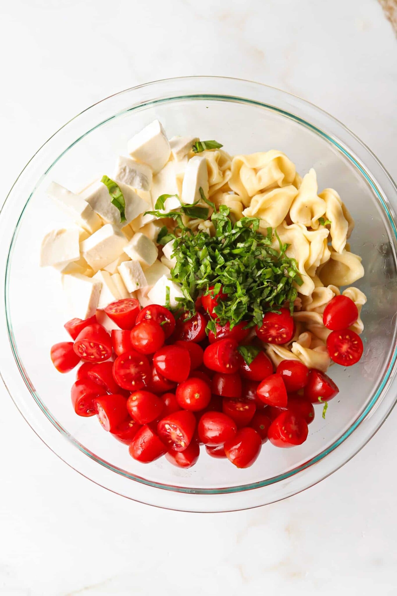 Tomatoes, mozzarella, tortellini and basil in a bowl unmixed.