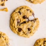 A close up shot of a whole wheat chocolate chip cookie with gooey chocolate.