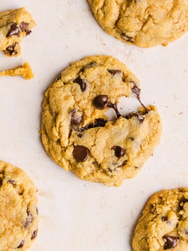 A close up shot of a whole wheat chocolate chip cookie with gooey chocolate.