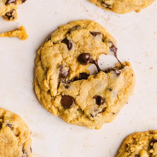 A close up shot of a whole wheat chocolate chip cookie with gooey chocolate.