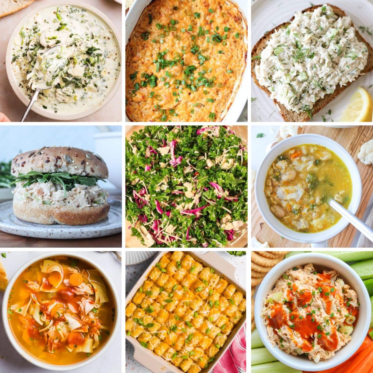 A grid-style graphic showing 9 recipes for ideas to use leftover rotisserie chicken.