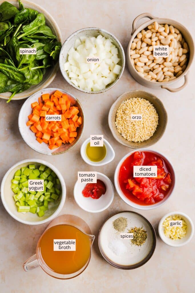 Vegetable orzo soup ingredients on a countertop with labels.