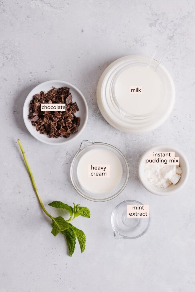 Ingredients for Ninja Creami mint chocolate ice cream on a countertop with labels: milk, heavy cream, instant pudding mix, mint extract and chocolate.