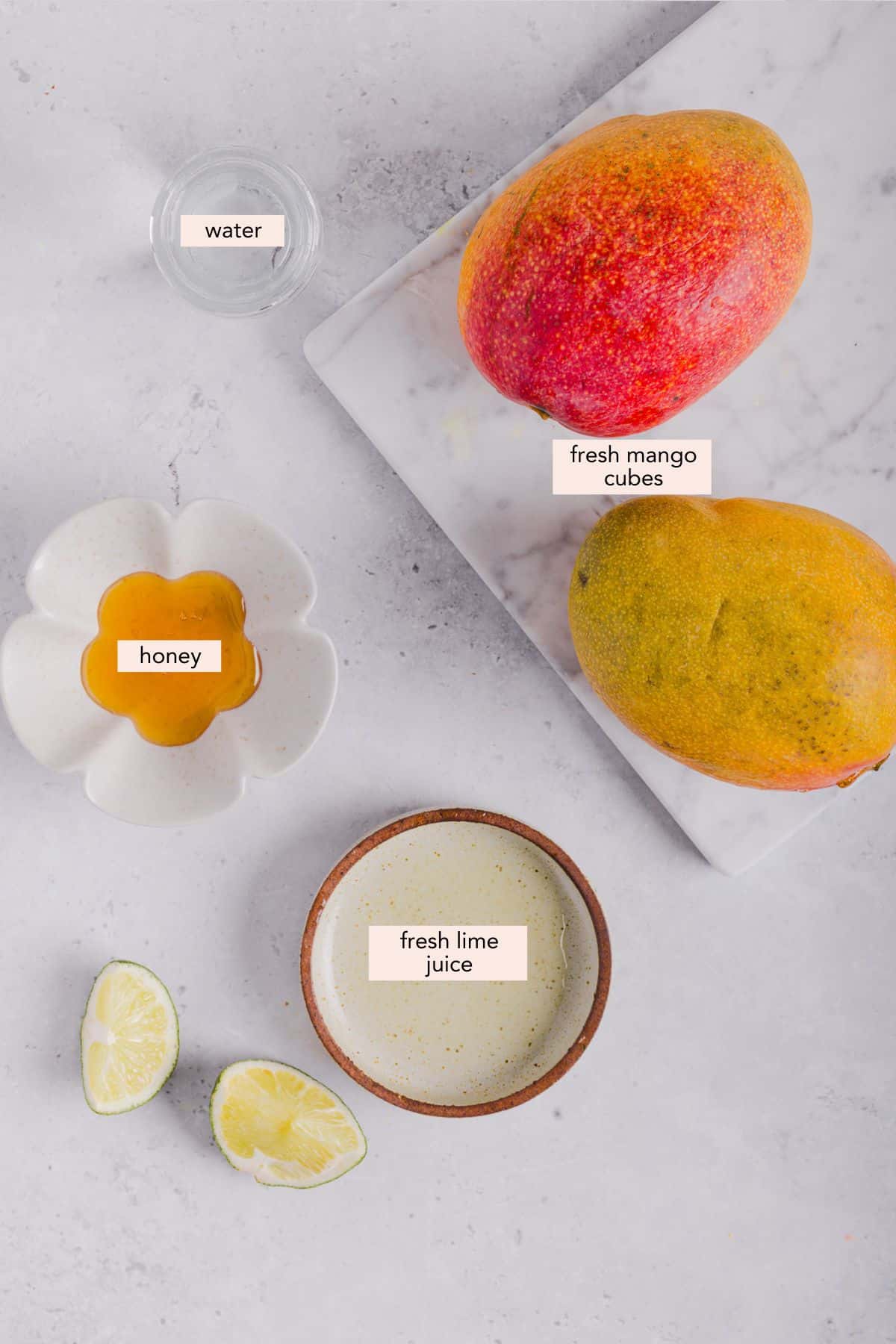 Ingredients for Ninja Creami mango sorbet are text-labeled.