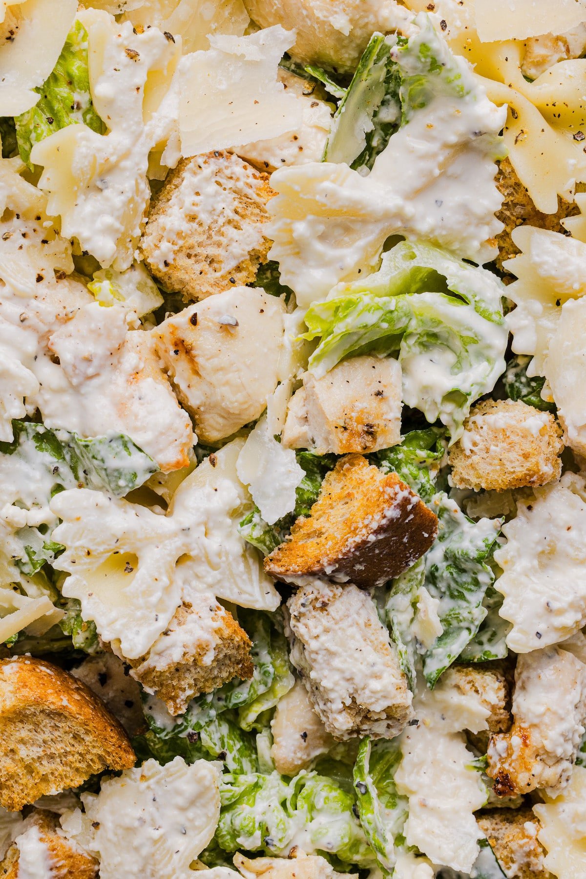 A close up shot of chicken caesar pasta salad.
