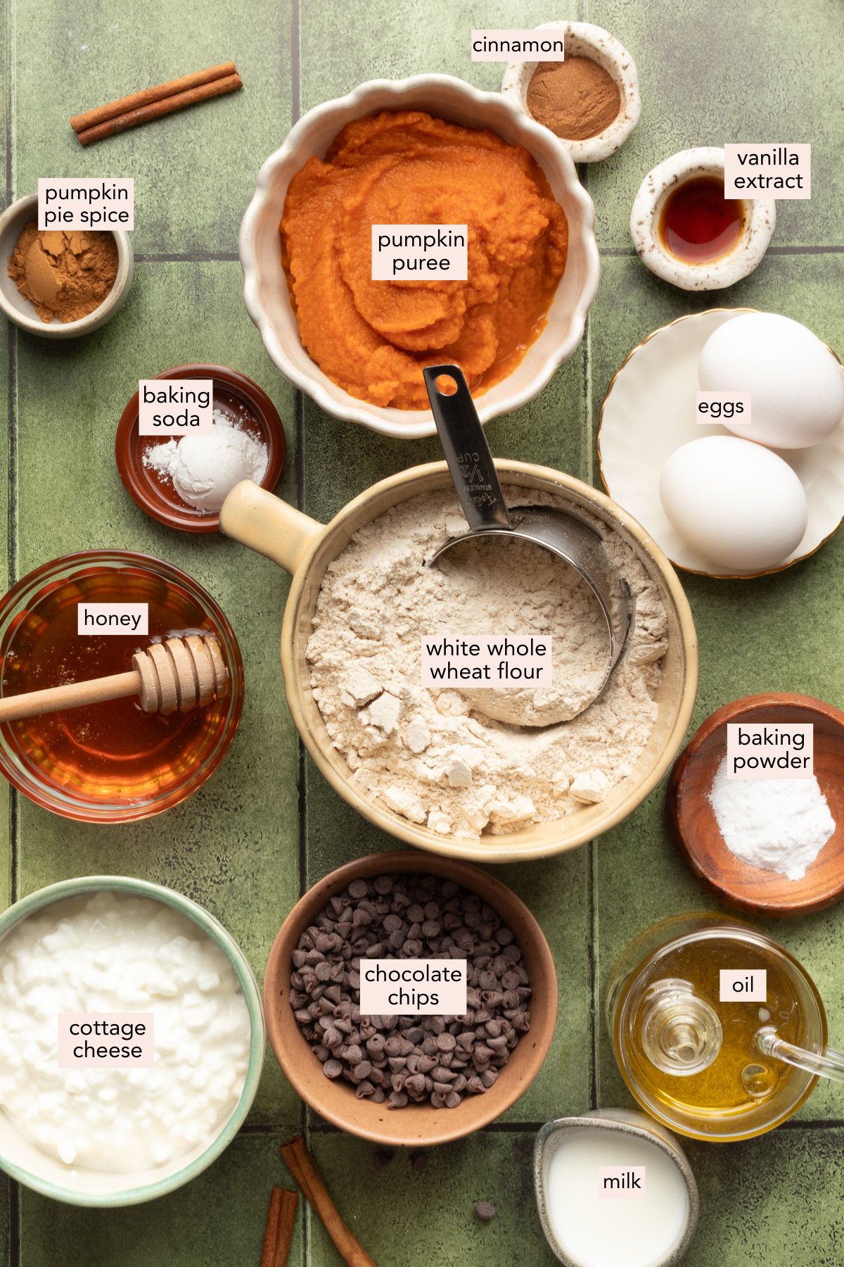 Ingredients for cottage cheese pumpkin muffins on a green background with labels. 