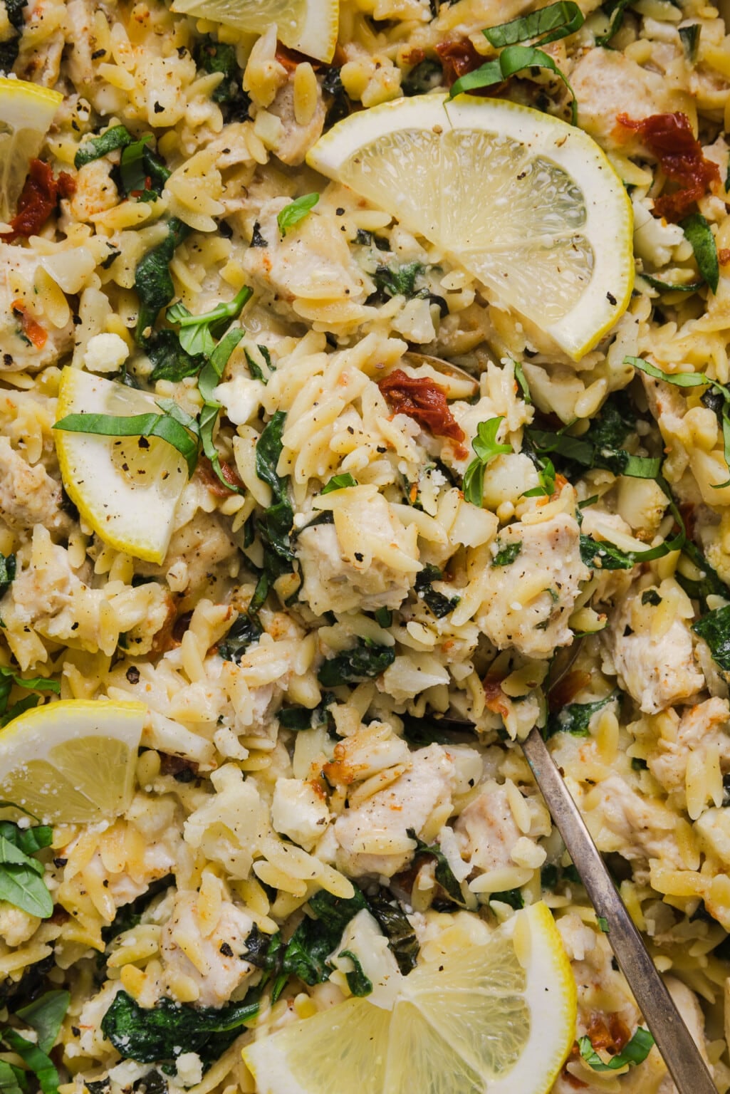 Chicken and Orzo Bake (Dump and Bake!) - The Balanced Nutritionist