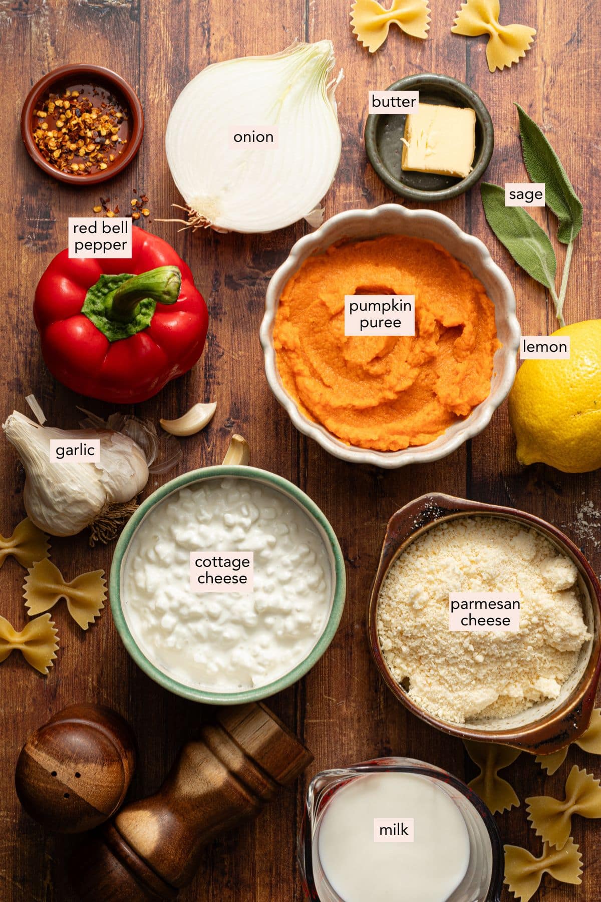Ingredients for protein pumpkin pasta sauce on a countertop with labels.