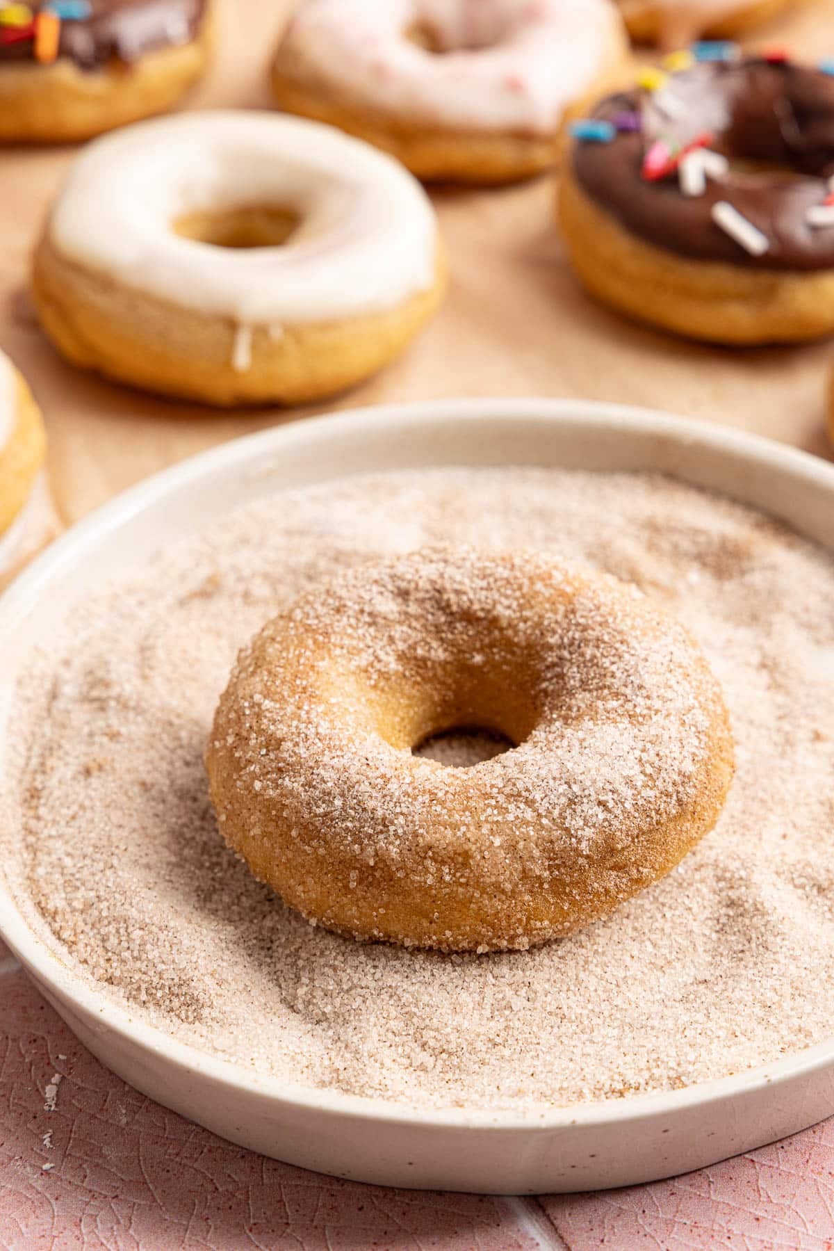 A donut coated in cinnamon sugar sitting on a plate with cinnamon sugar.