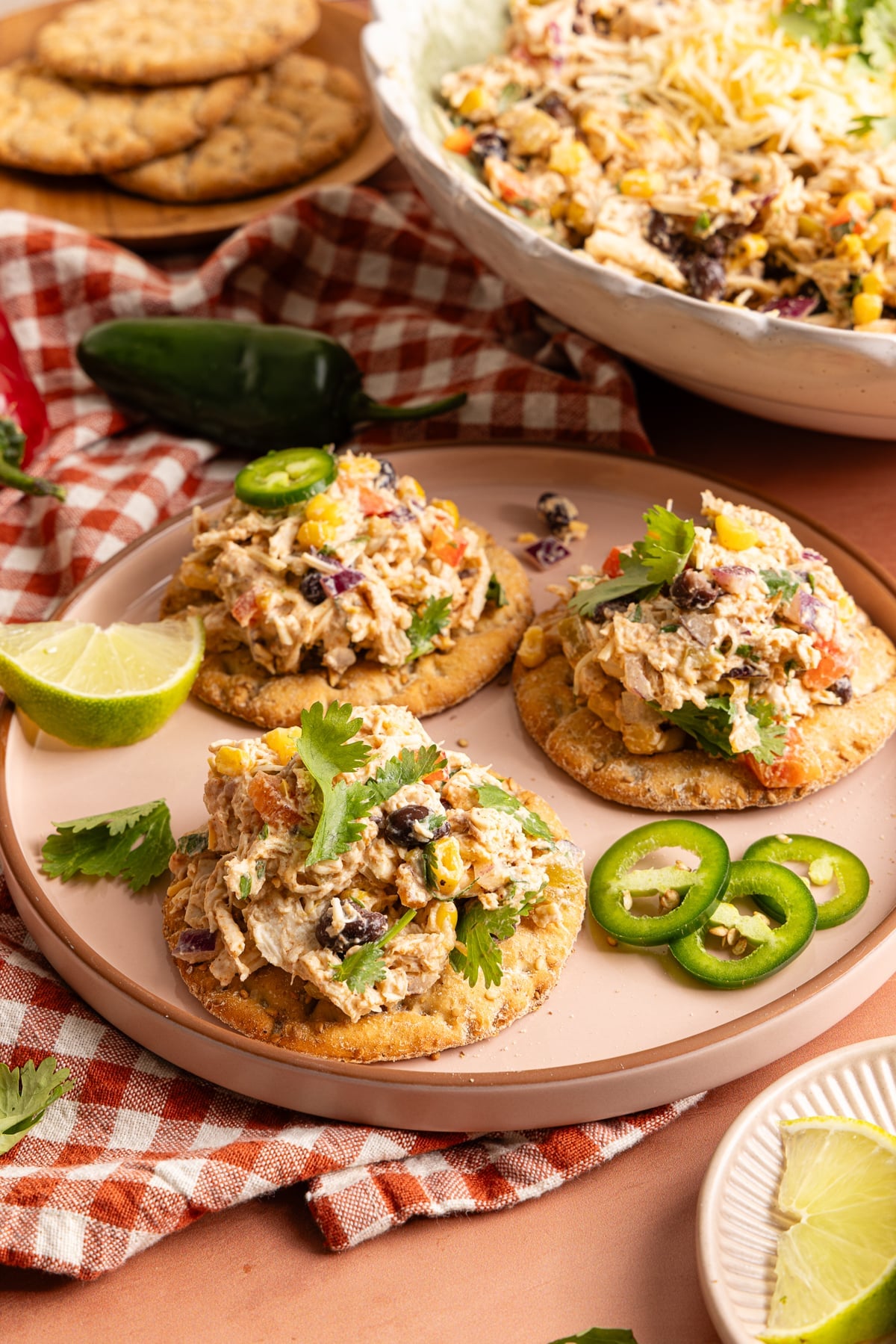 Bread with the southwest chicken salad on top garnished with fresh cilantro.